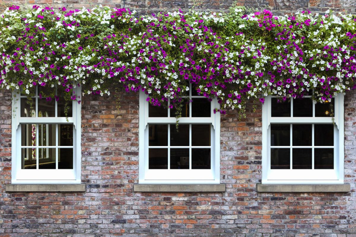 Sliding Sash Windows Gloucester West Mids